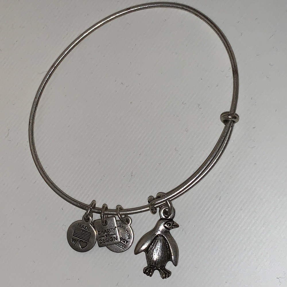 alex and ani bracelet